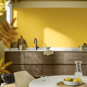 Dulux_2025_Kolor_Roku_HELLO_YELLOW_003_1024